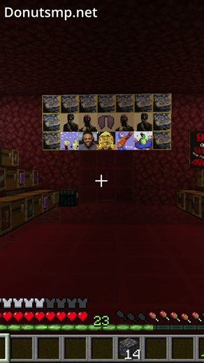 Here's how to get night vision on the Donut smp