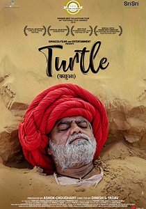 Turtle streaming: where to watch movie online?