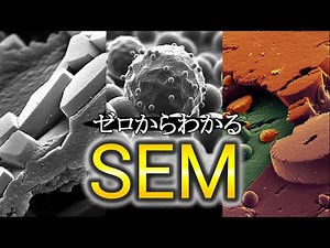 【解説】SEM（走査電子顕微鏡）の特徴・できること・実例をわかりやすく紹介！