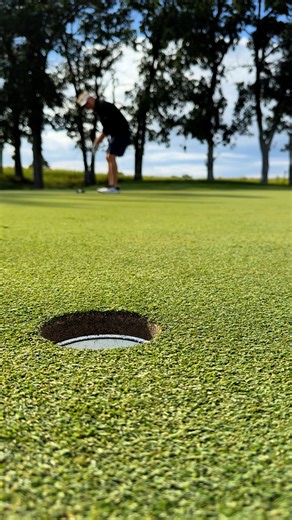Enjoying some of the best public course greens we’ve played on this year up here in Detroit Lakes at Wildflower GC | TwinCitiesGolf.com ( Twin Cities Golf )