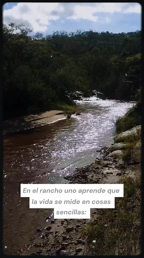 #vacas #ganado #agricola #vidaderancho | Vida en el rancho