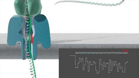 DNA-Sequenzierung mit Minion - Oxford Nanopore
