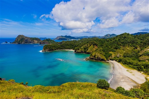 131 feral cats removed from remote Japanese islands – then something exceptional happens | Discover Wildlife