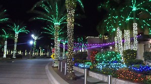 90K views · 486 reactions | #Sarasota #Bradenton #Florida #Christmas #Merrychristmas #Newyear #Holidayseason #Sarasotaexperience | Sarasota Experience | Facebook