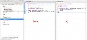 Stop Debugging Dev C