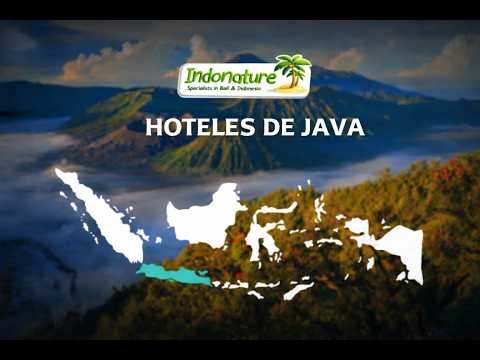 Selección de Hotelería en Java | Recursos para Agencias 🌋