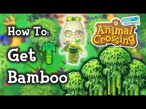 🎋 Animal Crossing New Horizons How To Get Bamboo Trees