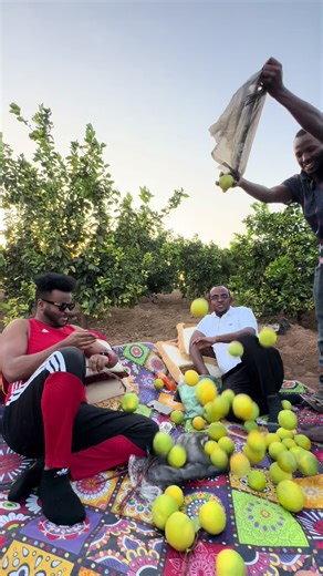 jafe Tube (@jafaramin33)’s videos with original sound - jafe Tube