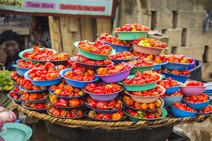 AACE Food Processing and Distribution Limited - AECF