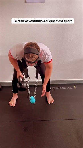 C’EST QUOI LE RÉFLEXE VESTIBULO COLIQUE? Le réflexe vestibulo-colique joue un rôle crucial dans la