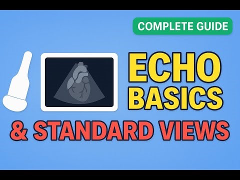 Echocardiography Basics & Standard Views – Complete Masterclass!