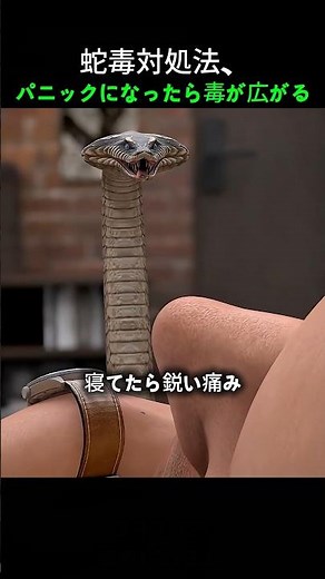 How to deal with snake venom: Panicking will only spread the venom further.