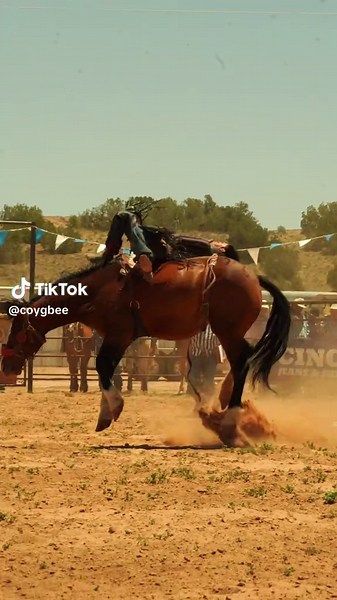 2026 Lane J Silversmith Memorial INFR Stand Alone Event - Chambers, AZ #bareback #rodeo #cowboy #sports #horse