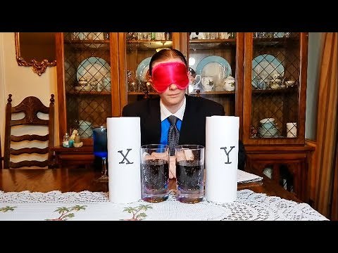 The Coke vs. Pepsi Challenge