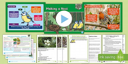 Outdoor Explorers - KS1 Spring - Lesson 5: Making a Nest