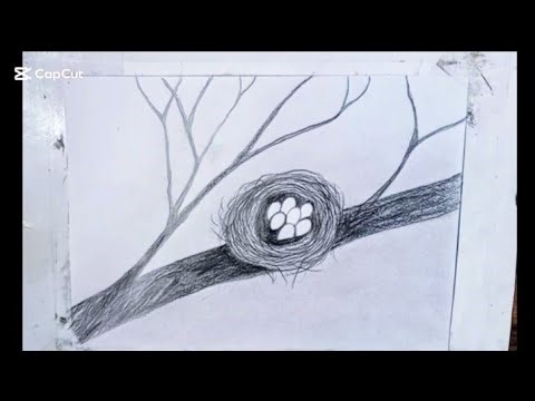 Cute Nest drawing for beginners | easy and step by step sketch | how to draw eggs | amazing 3D art