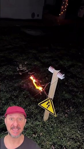 A dry branch conducts electricity!