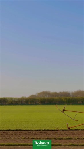 Rolawn® Medallion® Turf is expertly cultivated and harvested with care, delivering consistent quality that establishes quickly in your garden for lasting beauty and performance. | Rolawn