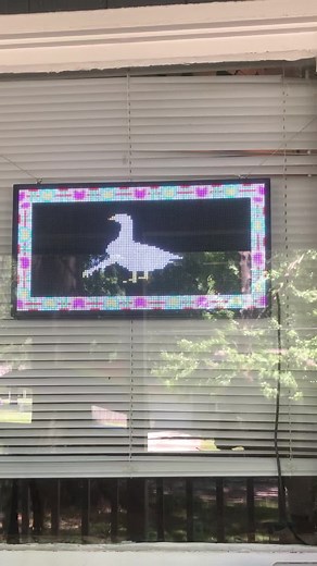 Neighborhood Hero Duck with Arms