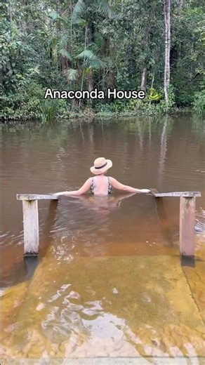 Amazon Forest