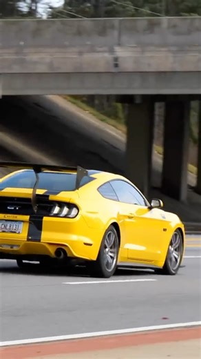 Mustang leaving car show #carshow #carsofinstagram #atlanta #mustang #gsp | Buddybryan3