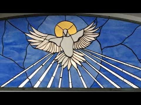 Wednesday of the 5th Week in Ordinary Time, Year A