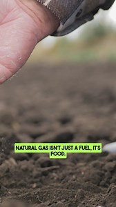 22K views · 829 reactions | https://electroverse.substack.com/ https://electroverse.info/ | Electroverse | Facebook