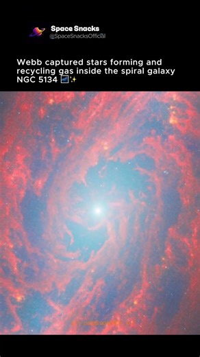 Webb Reveals a Galaxy’s Star-Making Cycle 🌌✨