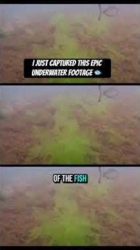 Epic GoPro Fishing Underwater Footage 🐟#fishing #gopro #goprofishing