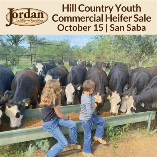 2.3K views · 24 reactions | We are extremely proud of the local exhibitors who have worked for months to prepare their projects for Wednesday's Hill Country Youth Commercial Heifer Show and Sale. Here are just a few of the faces you'll see this Wednesday in San Saba. Come out and support the next generation of ranchers, this Wednesday at 10:00 AM in San Saba! https://jordancattle.com/female-consignments/ | Jordan Cattle Auction | Facebook