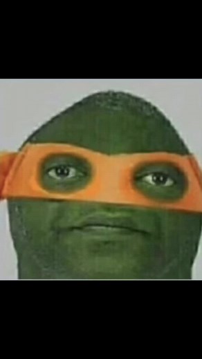 Hilarious Ninja Turtle Memes Compilation