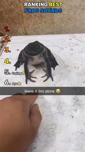 Ranking Best Frog Sounds | Funny Animal Videos #shorts #viral