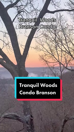 Tranquil Woods Condo in Branson, Missouri