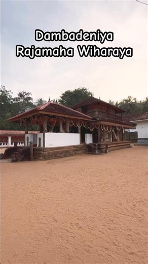 Historic Dambadeniya | Journey to the 13th Century Kingdom #shorts