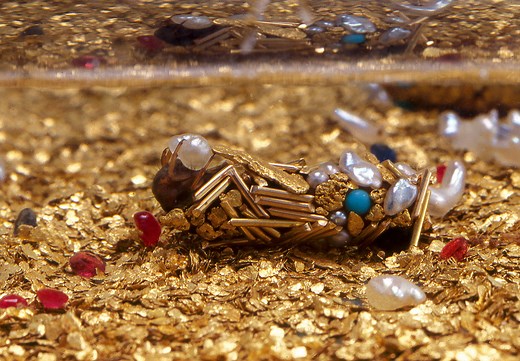 Artist Hubert Duprat Collaborates with Caddisfly Larvae as They Build Aquatic Cocoons from Gold and Pearls