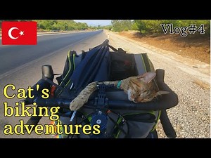 Nala cat's world adventures 🇹🇷 VLOG#4