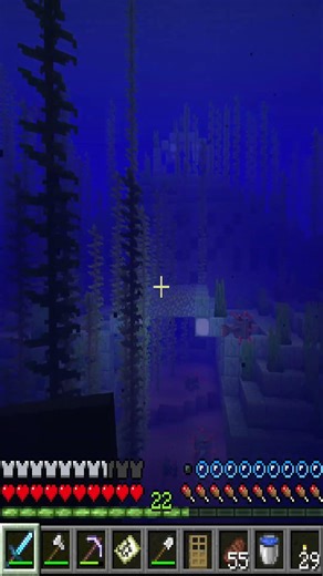 Bin ich hier sicher? 🤔🐟 #minecraft