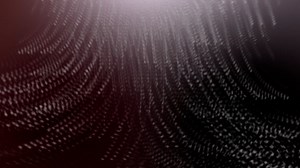 Particles, Movement, Background. Free Stock Video