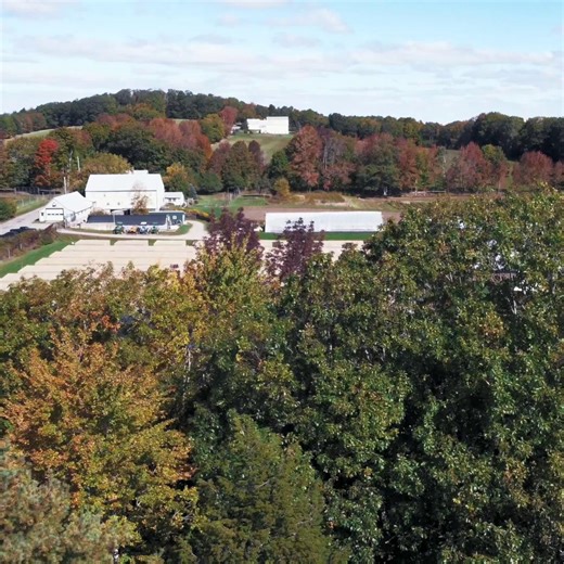 Sage on Instagram: "🌱 From seed to system, Johnny’s Selected Seeds grew smarter with Sage Intacct. 🌾 With 15,000 SKUs and a complex, employee-owned business model, their finance team needed a way to work smarter, not harder. 💡 By adopting Sage Intacct’s AI-driven AP automation, Johnny’s transformed its manual billing process into an intelligent system that recognizes vendors, extracts data, and automates approvals, cutting invoice time by 50%. #SageIntacct #HighPerformanceFinance #Automation 