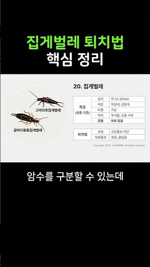 집게벌레 퇴치법의 핵심만 20초 안에 알려드립니다 #집게벌레퇴치법