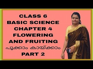 CLASS 6 BASIC SCIENCE CHAPTER 4