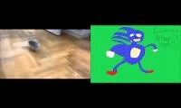 Mix of 2 videos from youtube : SANIC THE HEDGEHOG IRL