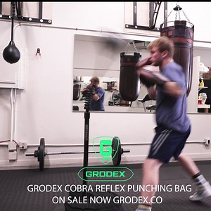 The best Cobra Punching Bag in the world is available now The Grodex Corba Bag is in stock and ready to ship Made in the USA 1 Year Warranty Ships next day Interchangeable Bladder Manufactured in California High quality Premium Product https://grodex.co/collections/cobra-reflex-bag | Grodex Inc.