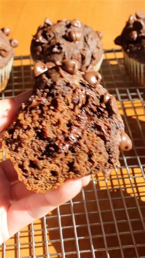 ⬇️ Recipe below! 🎃 Chocolate Pumpkin Muffins are the perfect muffin bake this fall. They are easy pumpkin muffins that are moist and full of chocolate and pumpkin spice! Recipe here - https://taffeybakery.com/chocolate-pumpkin-muffins/ or comment RECIPE and I’ll send it directly to your inbox! | Taffey Bakery