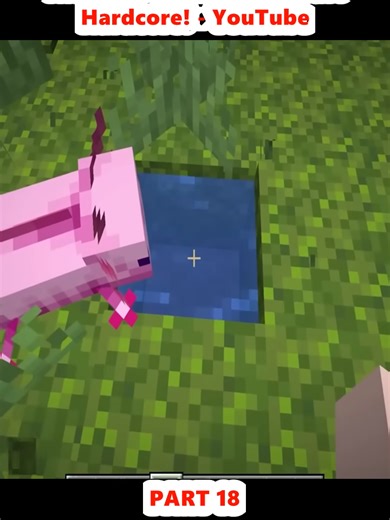 Minecraft Extreme Hide and Seek: 100 Days Challenge