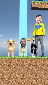 121K views · 593 reactions | Prison dog_ cute cat or handsome dog_ Which animal can wear a Police hat | ZolphiusFun | Facebook