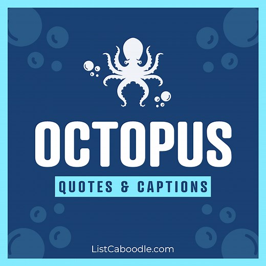 57+ Octopus Quotes (Release The Kraken!) | ListCaboodle