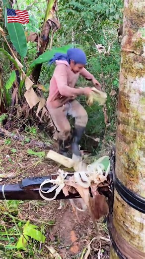 Exploring Fascinating Factory Processes in the USA