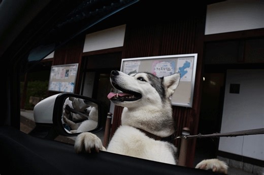 Noboru Yoshii on Reels