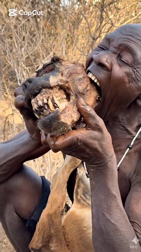 Hassan Jum on Instagram: "Hadzabe tribe eating their favorite food"